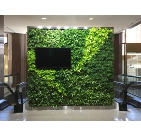 Air Purifier Green Wall (550 Rs -900 Rs) (Rates / Sqft) 